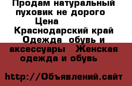 Продам натуральный пуховик не дорого › Цена ­ 1 800 - Краснодарский край Одежда, обувь и аксессуары » Женская одежда и обувь   